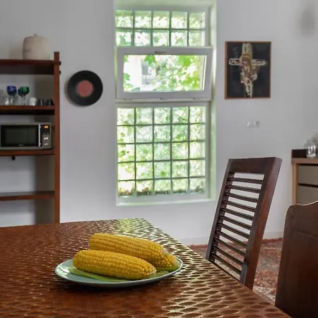 公寓 Bright & Spacious Loft With Basilica View 布达佩斯