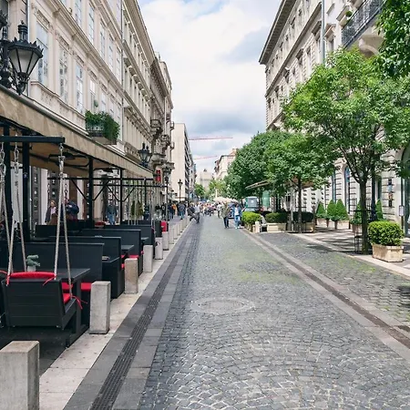 Bright & Spacious Loft With Basilica View Apartment